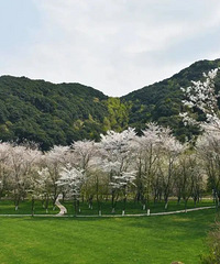 �̻������½��ϣ����˵�ʫ�ⴺ���ֱ�Ʒ���Ӱʦ��