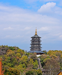 ���������ջ�������