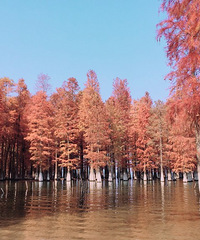 84��δ��������179�����������У���85��δ������