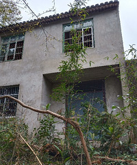 ��ɽ���±��ϵķ��ӣ��������ܾ�û��ס��