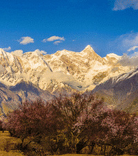 ȫ���ͻ�ʱ�������ؽ�ӭ����ֵ�۷�ʱ��