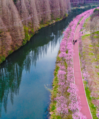 ��˽����һ����ӣʥ�أ���ǧ������ӣ�������ȵ�