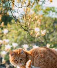 ���Ͼ��������ȳɶ����ݣ�����ӵ��2500����ʷ���ϳ�