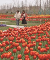 �ʻ��۵� 22���������㿪�ˣ�԰����Ѷ����񿪷�