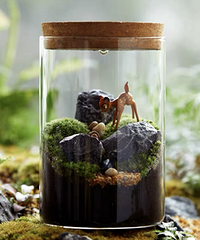 �������Լ�.̨�ݹ��衿ȫ��·����ʿ���������Լ���սӪ