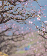 ������Դ����������ط����һ����࿪�ţ�