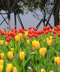 �ٺ���������ָ�Ͼ��޳�¯������ȥ�ͻ�~~~