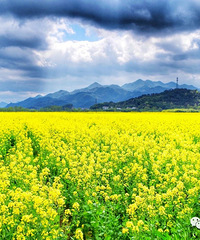 �ٺ���������ָ�Ͼ��޳�¯������ȥ�ͻ�~~~