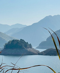 ���۸��᡿���Ӧ��Ҫ����Ǯ��