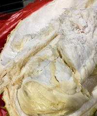 ���۸��᡿50��һ���������Ե�����