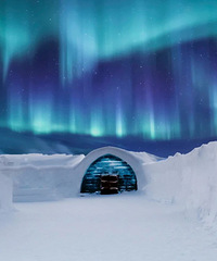 ŷ�޶���������绤�ա�2021������ܳ�������