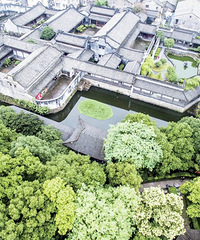 ��ӵ���ݵ���������Ƭ�Ͳ˻�������������