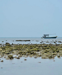 �����ܵĺ�������󣬹㶫���С����Ҳ�ز�ס��......