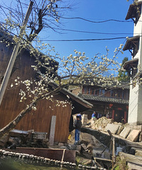 ���¾�����Ƭ�̣�һ�ؼ�ë���ճ���������Ƭ��