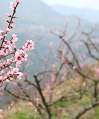 û���Ͳ˻���3���ǲ������ģ���Щ����Ũ���˾������⣡