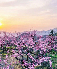 �ຼ��2h���һ�С��С�ڵ�ȫ��������Ѱ