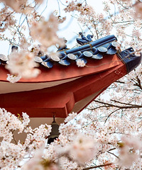 3�£��ҽ�����һ��Ҫȥһ���人��