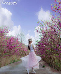 �ٺ��Ͻ��ٻ�԰ĵ�������Ͼ�����½�����ţ�����̺�