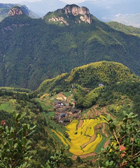 ���۸��᡿���󣬷���Ů���Ѻͱ���ͬ�ӹ�������ô�죿