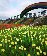 ǧ���°����������ˣ���������