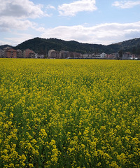 ǧ���°����������ˣ���������