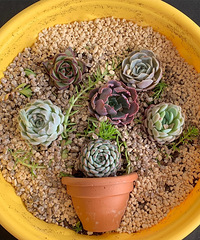 ��·����ʿ�Լ�.̨�ݹ��衿������ս���