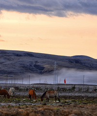 ���������е������