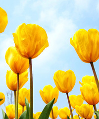 �³��λ��ʻ��۵������㣬�Ͻ�ȥ��