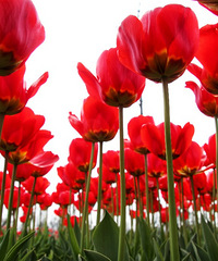 �³��λ��ʻ��۵������㣬�Ͻ�ȥ��