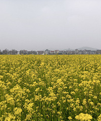 �°��ſ���ӭ�㣬л�ŵ��Ͳ˻�����������