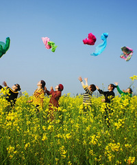 �°�л�Ŵ���Ͳ˻�����