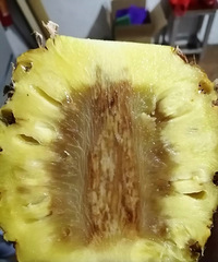 ��ù��������Ĳ���ȫ������ö����õ�