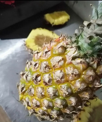 ��ù��������Ĳ���ȫ������ö����õ�