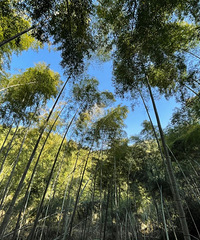 ���۸��᡿��Ը��Ȣ������Ů����