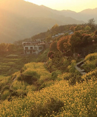 ���ޣ�������Ƭ��ɫ����������ʢ������ɽ��Ұ�Ͻ�ȥ������