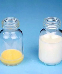 ������ʲô�����������ĵ�һ��ʳ�﾿���ж����