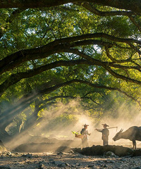 Զ�복��������8���ط����������˼���ƽ����˵ķ羰��