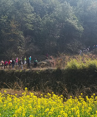 �ΰ�ŵ���;��ɽ��ˮ���������