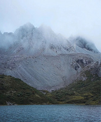 ��ǡ�˾�١�ȡ���أ�ԭ����Щˢ�����գ�����������