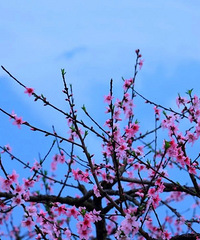 �ͻ������ٺ�����ط����һ����ˣ��������մ�~~~