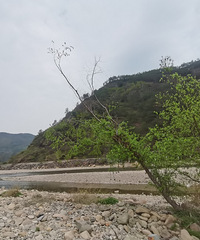 �ٺ��羰��