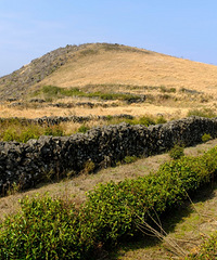 ��������ɽ����ʱ��ɫ�£�