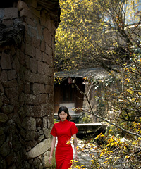 ��ɽ���滨����