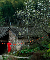 ��ɽ���滨����