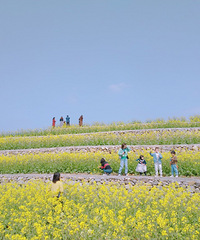 ����Ħ���ܱ��У�5��ƽ�����ϻ���