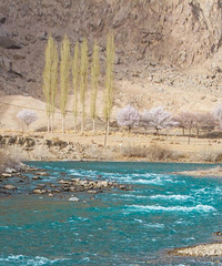 �½��Ĵ��쵽���ж������������֪����...