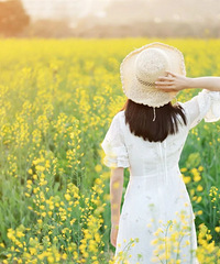 ��󴵺��Ѱ�����������Ͳ˻��������