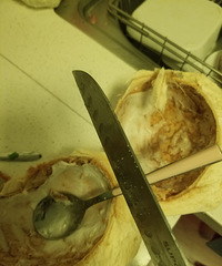 ����Ҭ��֭�ٳ�Ҭ���⣬Ҭ����������һ�����ң�