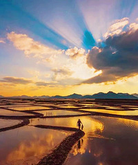 �����㽭Ψһ�����缶���ʹ�԰��������������