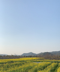 Ժ��һ�����ʪ�ع�԰�Ͳ˻�